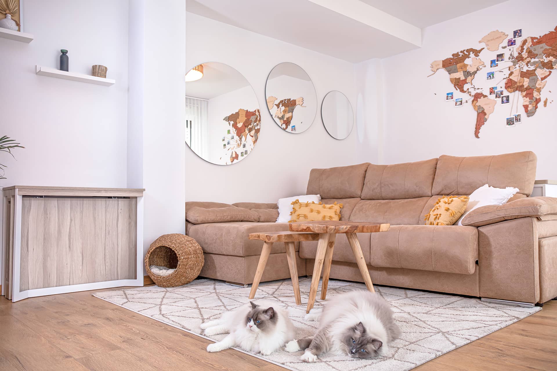sofa
