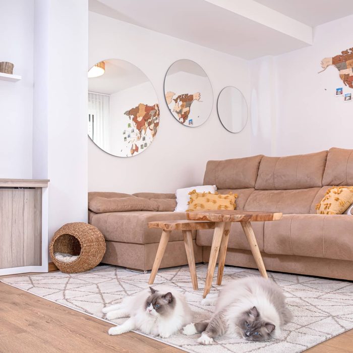 sofa