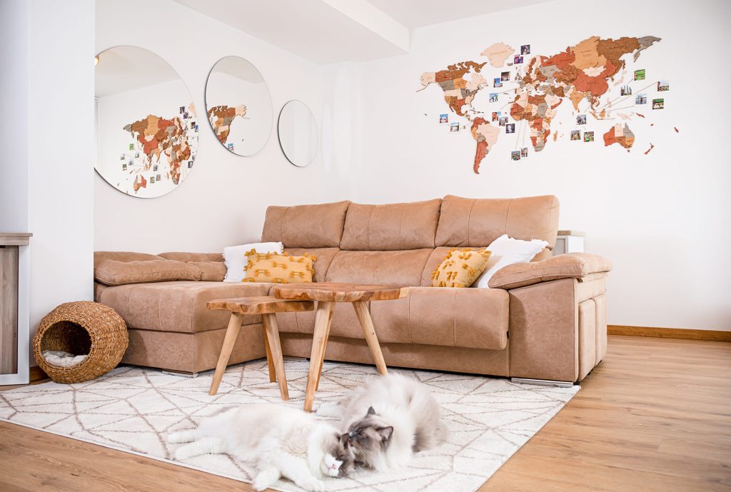 mascota y decoración